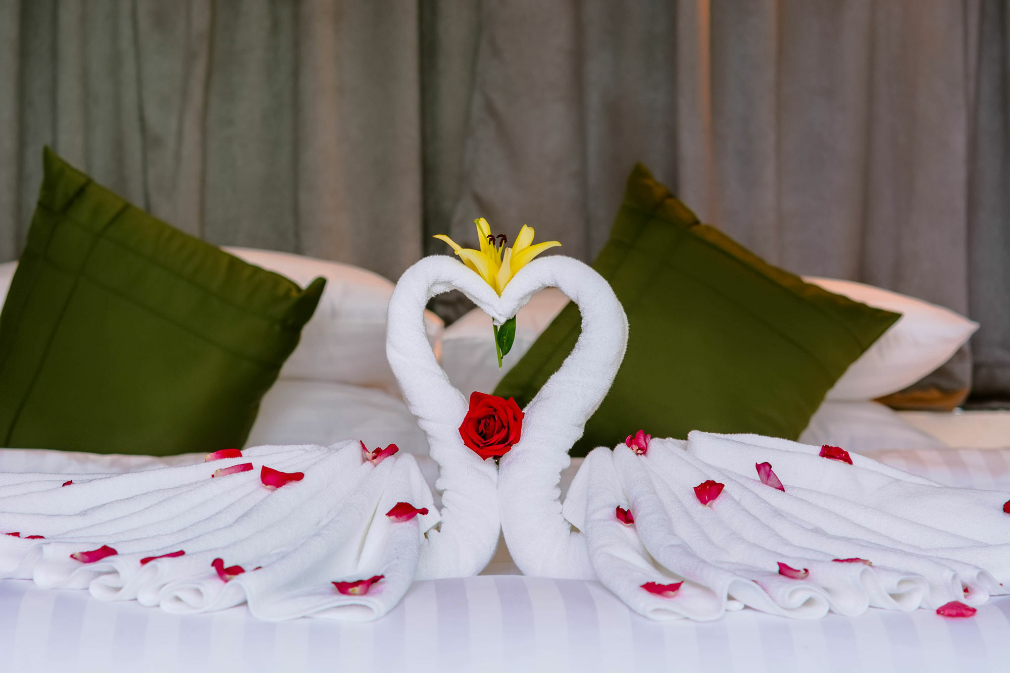סיאם ריפ Ring Boutique Hotel מראה חיצוני תמונה